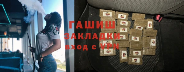 гашик Алексин