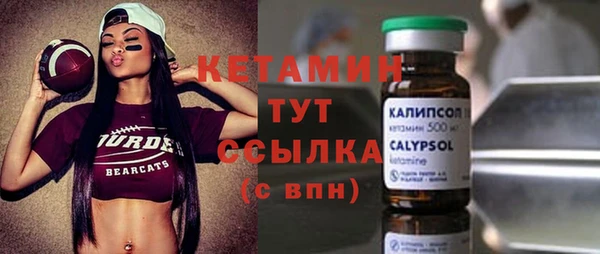 гашик Алексин