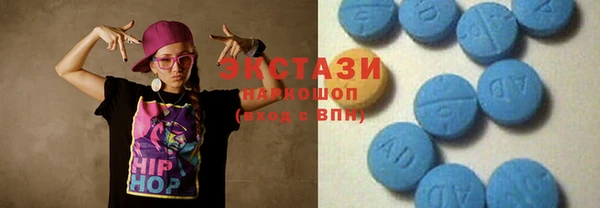 гашик Алексин
