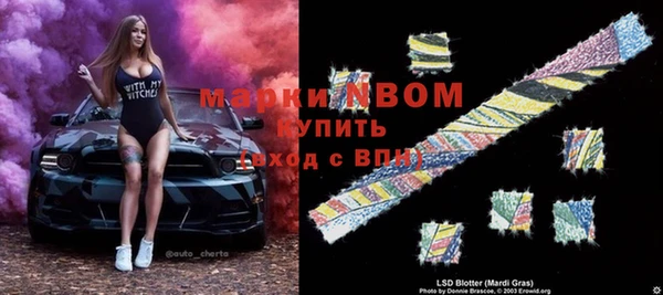 гашик Алексин