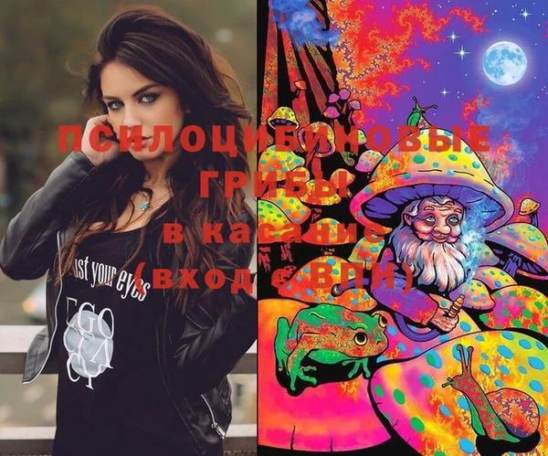 скорость Михайловка