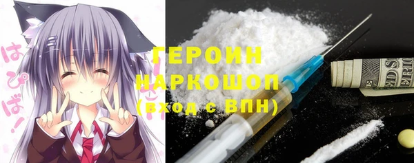 гашик Алексин