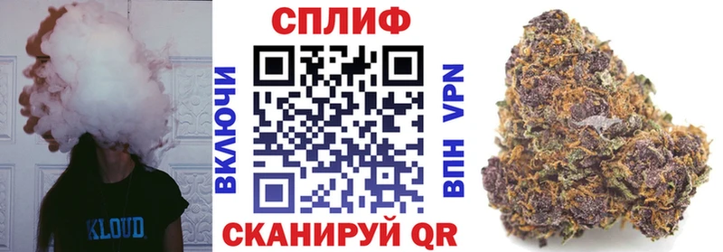 Каннабис сатива Славск